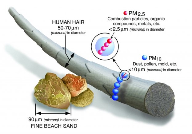 Chart comparing particulate matter sizes to human hair and sand, courtesy of EPA