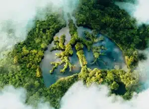 Birds eye view in clouds of trees and water in the shape of lungs