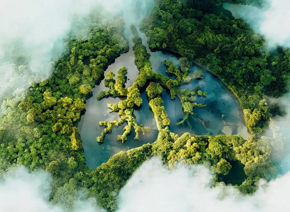 Birds eye view in clouds of trees and water in the shape of lungs